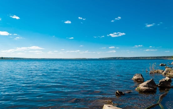 强大的能量电子蓝调 – Powerful Energetic Electro Blues 背景音乐