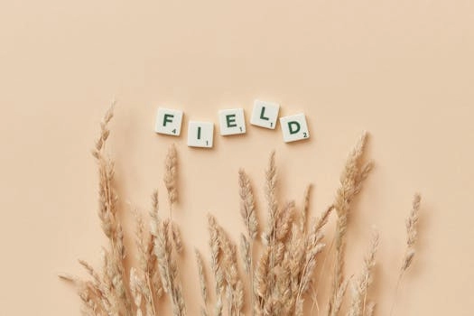 最低限度的激励 – Minimal Inspiring 背景音乐