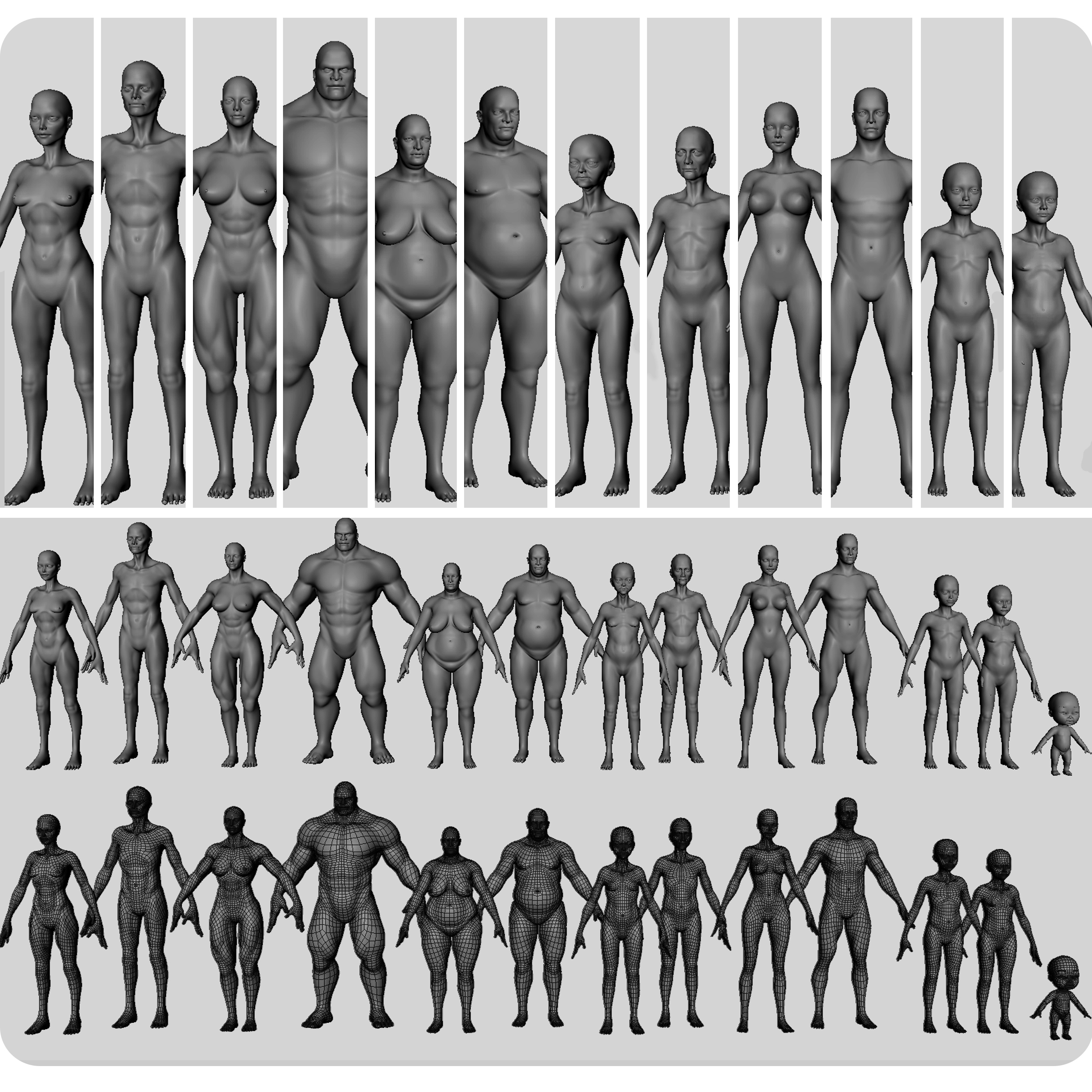 动物3D模型合集Ultimate Basemesh Collection