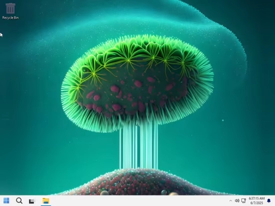 Windows 11,轻量级快速版本,2025年