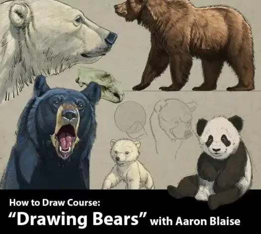 如何画熊设计教程