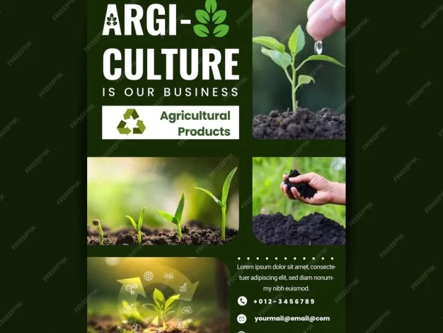 现代农业传单模板农场有机和收获推广PSD模板