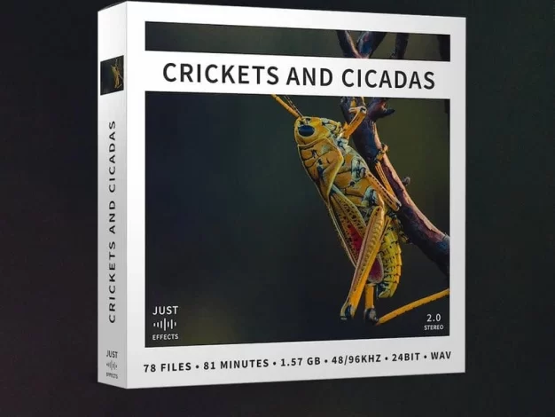 蟋蟀和蝉声音效果 -Just Sound Effects – Crickets and Cicadas