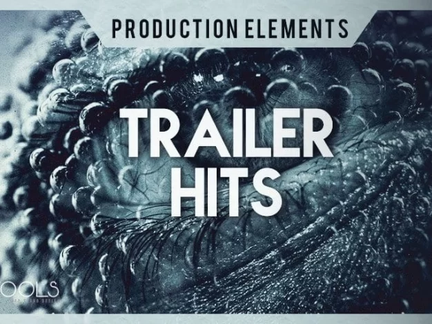 音效-短片的声音