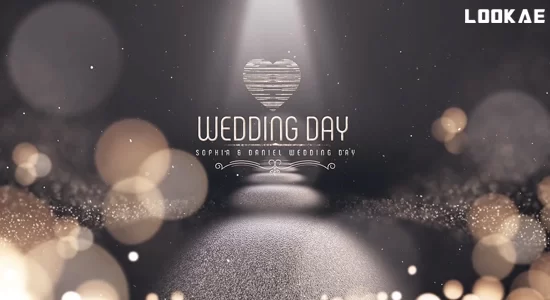 AE模板-金色粒子婚礼主题电子相册视频展示栏目包装动画